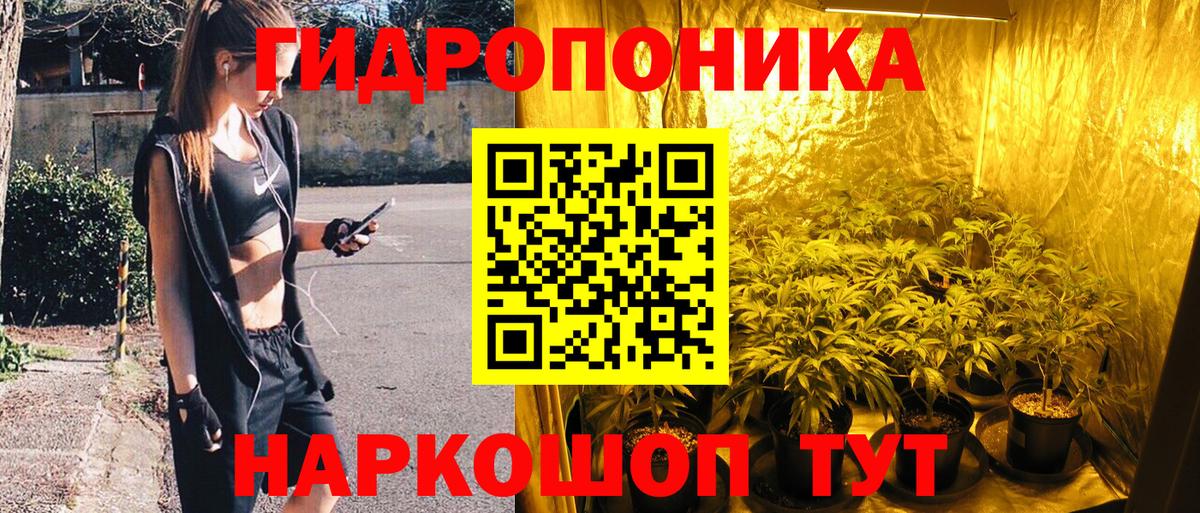 Бошки марихуана White Widow Корсаков